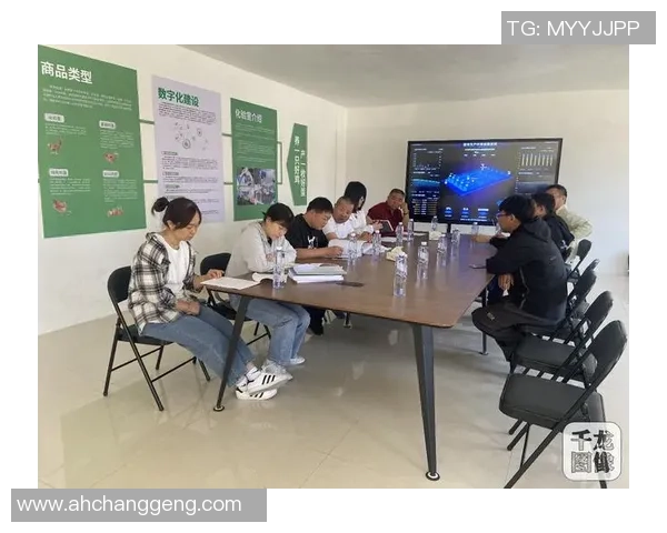 巅峰国际容器化部署最佳实践探索与应用指南助力企业数字化转型