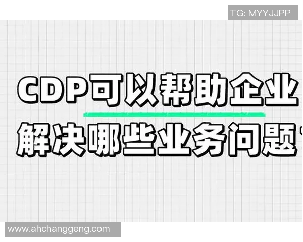 提升uu国际虚拟机性能的优化策略与实用技巧分享