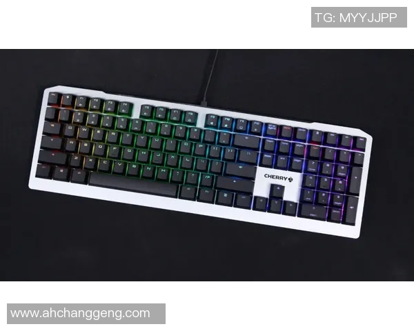 机械键盘轴体详解:不同轴体如何影响游戏体验与表现